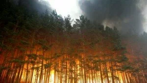 пожар в дзержинске нижегородской области видео